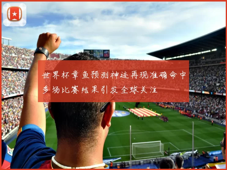 世界杯章鱼预测神迹再现准确命中多场比赛结果引发全球关注