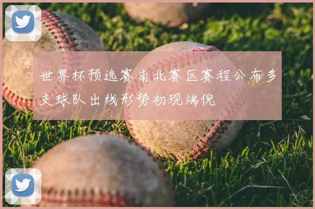 世界杯预选赛南北赛区赛程公布多支球队出线形势初现端倪