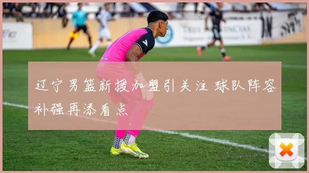 辽宁男篮新援加盟引关注 球队阵容补强再添看点