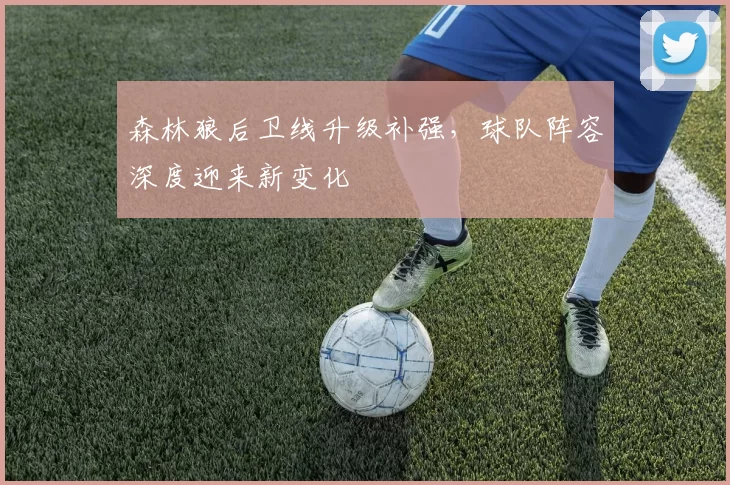 森林狼后卫线升级补强，球队阵容深度迎来新变化