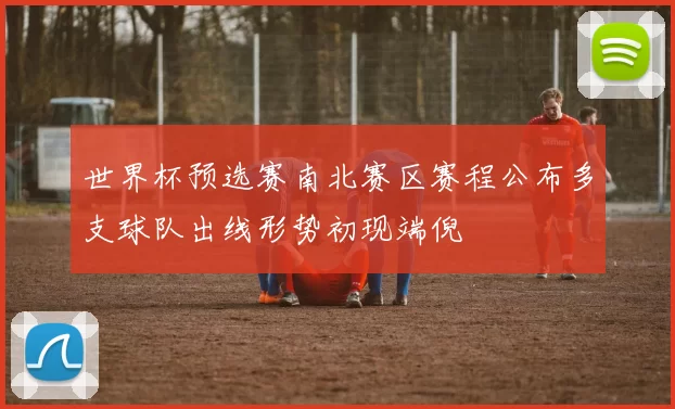 世界杯预选赛南北赛区赛程公布多支球队出线形势初现端倪