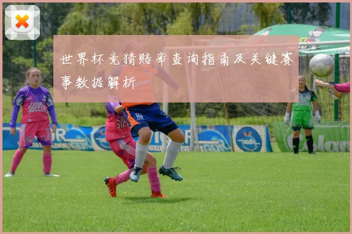 世界杯竞猜赔率查询指南及关键赛事数据解析