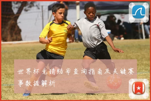 世界杯竞猜赔率查询指南及关键赛事数据解析