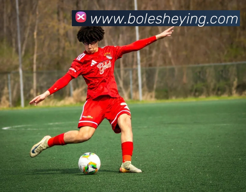 mksports官网平台生态图